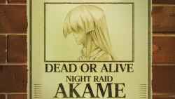 Akame Ga Kill! 111