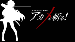 Akame Ga Kill! 84